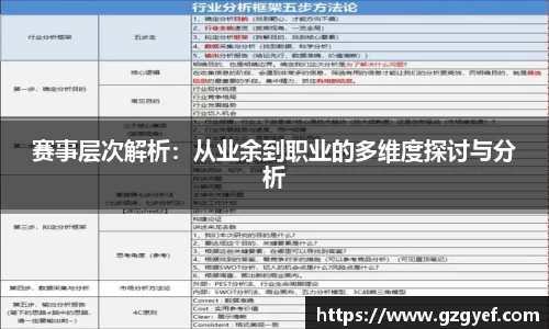 赛事层次解析：从业余到职业的多维度探讨与分析