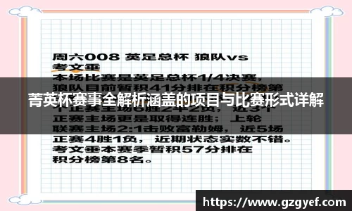 菁英杯赛事全解析涵盖的项目与比赛形式详解