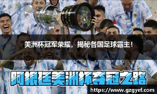 美洲杯冠军荣耀，揭秘各国足球霸主！