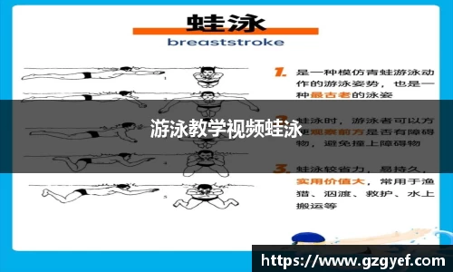 游泳教学视频蛙泳