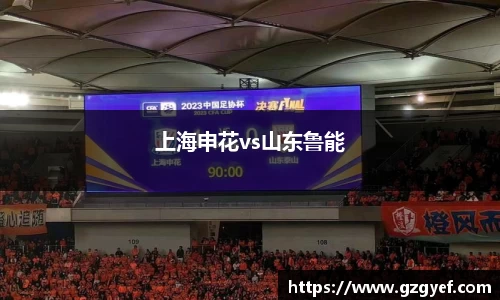 上海申花vs山东鲁能