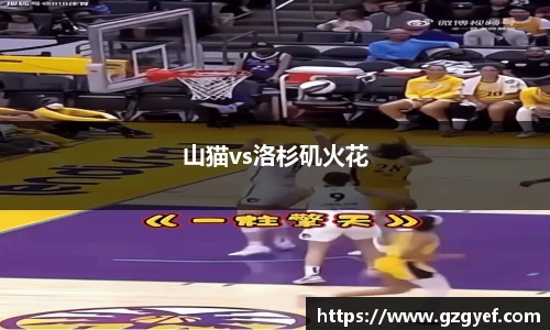 山猫vs洛杉矶火花