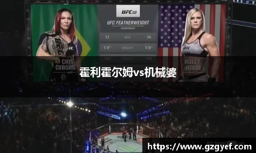 霍利霍尔姆vs机械婆