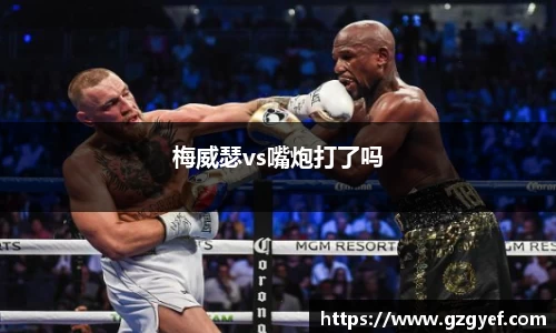 梅威瑟vs嘴炮打了吗