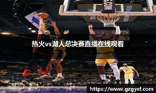 热火vs湖人总决赛直播在线观看