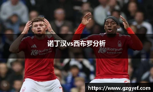 诺丁汉vs西布罗分析