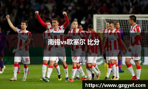 南锡vs欧塞尔 比分