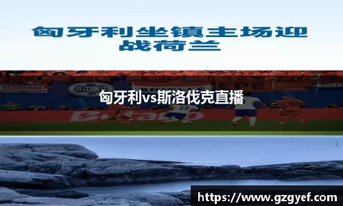匈牙利vs斯洛伐克直播