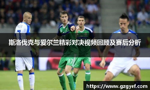 斯洛伐克与爱尔兰精彩对决视频回顾及赛后分析