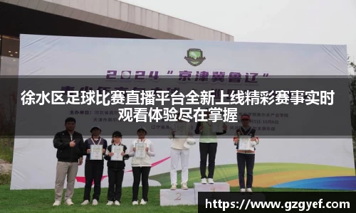 徐水区足球比赛直播平台全新上线精彩赛事实时观看体验尽在掌握