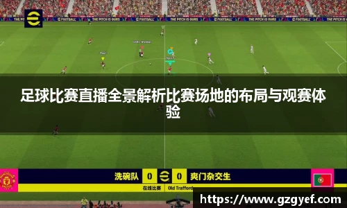 足球比赛直播全景解析比赛场地的布局与观赛体验