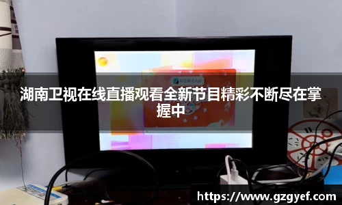 湖南卫视在线直播观看全新节目精彩不断尽在掌握中