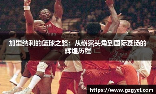 加里纳利的篮球之路：从崭露头角到国际赛场的辉煌历程