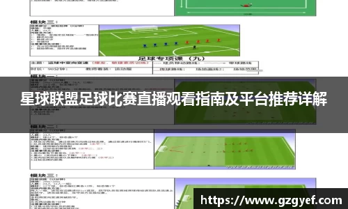 星球联盟足球比赛直播观看指南及平台推荐详解